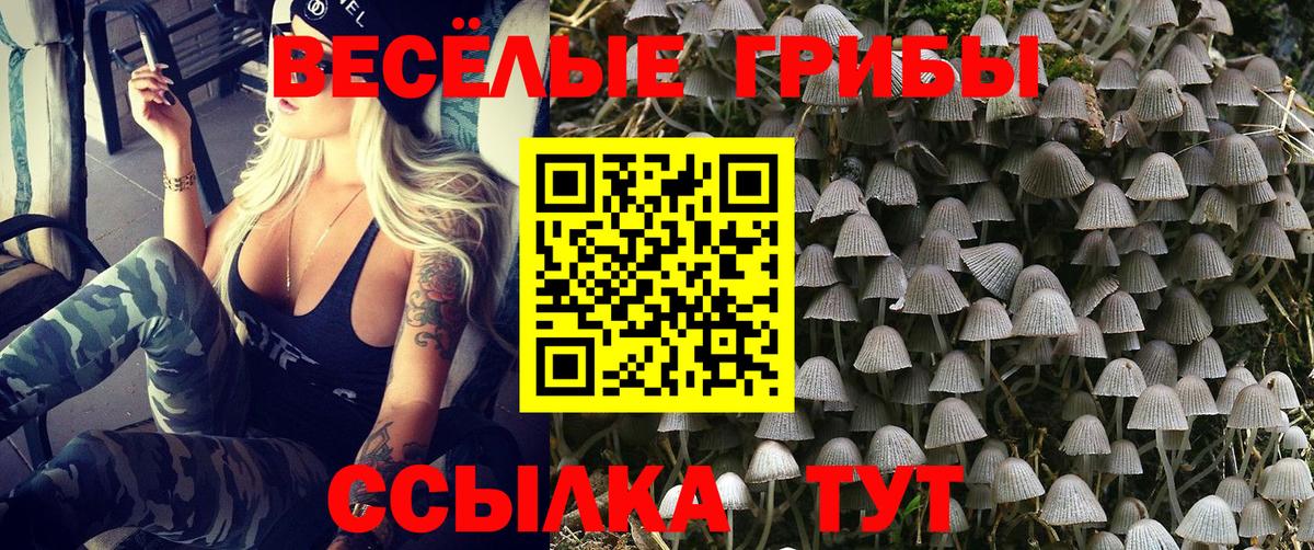 Видное  продажа наркотиков  Вход с VPN  Галлюциногенные грибы прущие грибы 